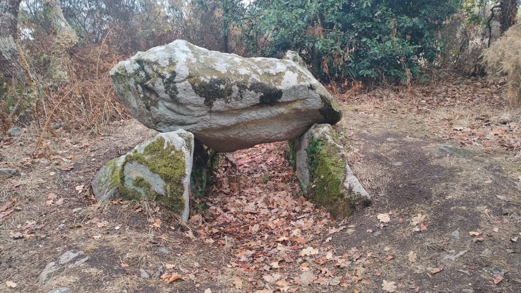 Dolmen dans un sous-bois